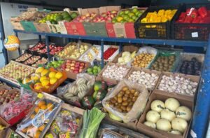 IMAGENS-FRUTAS-E-HORTALICAS-4-730x480 (1)