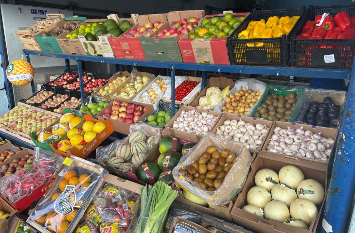 IMAGENS-FRUTAS-E-HORTALICAS-4-730x480 (1)