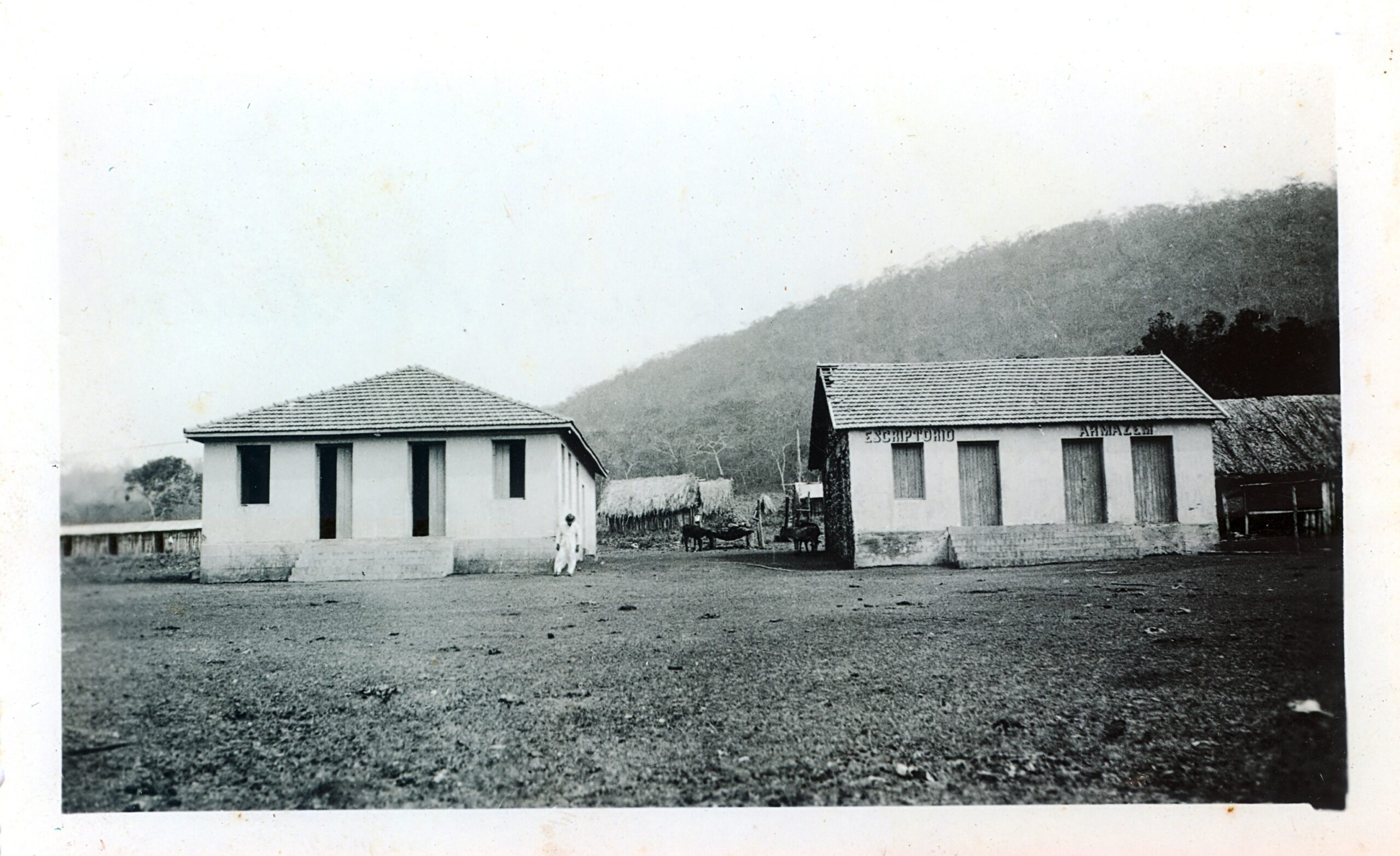 BR_MT_APMT_COL_212-0005