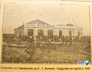 cooperativa