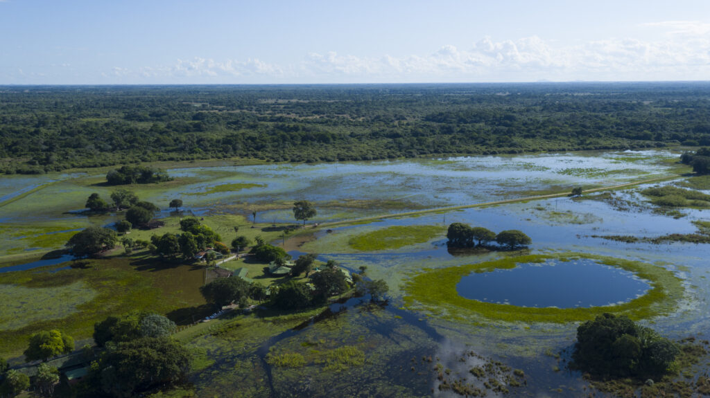 Os 10 destinos turísticos imperdíveis de Mato Grosso do Sul — do Pantanal às fronteiras do mundo