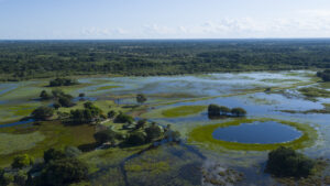 Os 10 destinos turísticos imperdíveis de Mato Grosso do Sul — do Pantanal às fronteiras do mundo