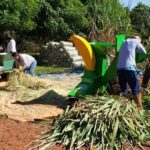 Em seis anos, projetos apoiados pela Suzano retiraram 31 mil pessoas da linha da pobreza em Mato Grosso do Sul