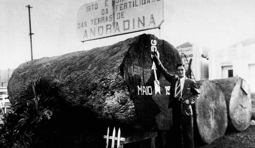 história da fundação de Andradina