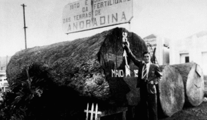 história da fundação de Andradina