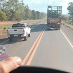 “A culpa não é do motorista”: vídeo revela o drama diário de quem enfrenta o trânsito das carretas de eucalipto em MS
