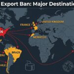 Diesel: a escassez global chega ao Brasil por um caminho inesperado, a dependência dos EUA