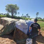 Polícia Civil recupera cerca de 20 toneladas de insumos furtados de empresa de celulose em Brasilândia